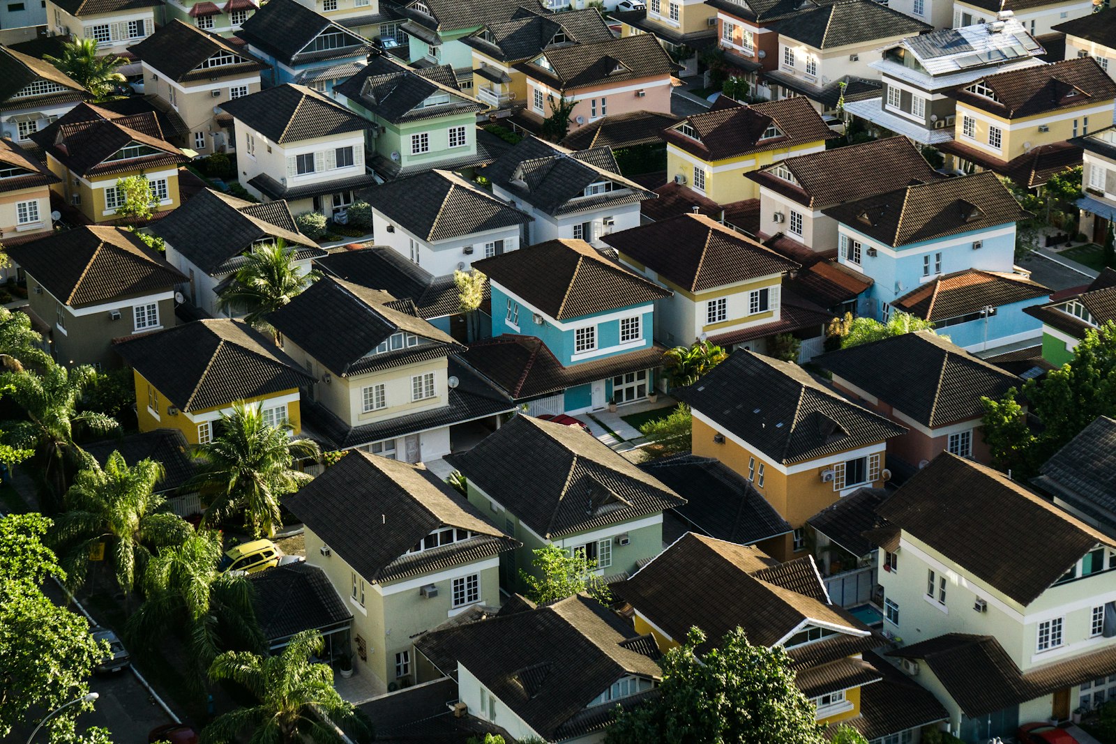 An established, tree-lined residential neighborhood